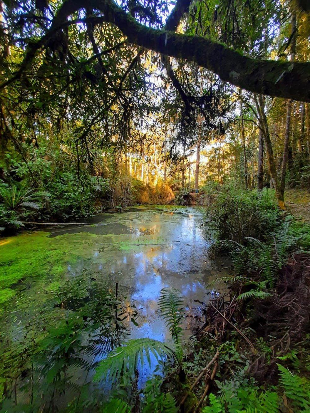 Recanto Paraíso Aventuras Rio Negrinho Exterior foto